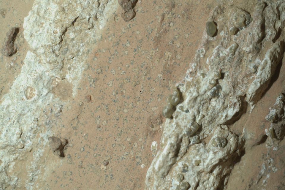 Leopard spots on a reddish rock nicknamed 'Cheyava Falls' in Mars’ Jezero Crater discovered by Nasa’s Perseverance rover in July 2024. Photo: Nasa/via AP